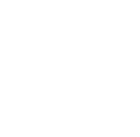 category-icon